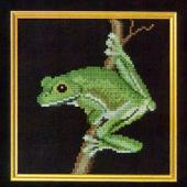 Green Tree Frog - Patterns by Jill Oxton