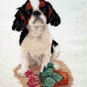 King Charles Spaniel - Patterns by Jill Oxton