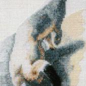 Stoat - Patterns by Jill Oxton