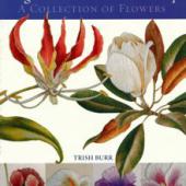 Long & Short Stitch Embroidery by Trish Burr