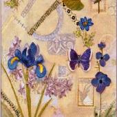 Shadows of Blue by Jennifer Bennett