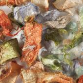 SF&C Shore Line - Out of Stock