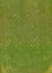 Angelina Film available from Australian Needle Arts