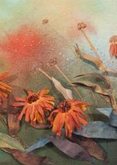 Kits by Catherine Howell available from Australian Needle Arts