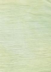 Crinkle Silk Chiffon Pistache by Colour Streams