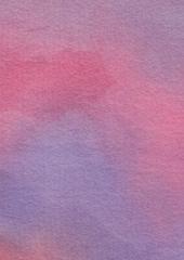 Musk Rose 30cm x 30cm