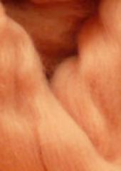 Felting Supplies available at Australian Needle Arts