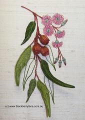 Gumnuts & Blossoms available from Australian Needle Arts