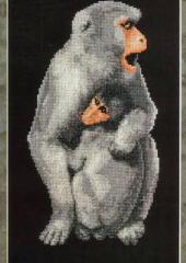 Issue 53 - Jill Oxton's Cross Stitch & Beading