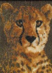Issue 56 - Jill Oxton's Cross Stitch & Beading