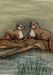 Otter Bliss by Susan Porter available at Australian Needle Arts