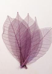 Skeleton Leaves available at Australian Needle Arts