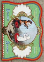 Sajou available at Australian Needle Arts