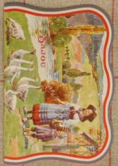 Sajou available at Australian Needle Arts
