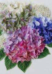Summer Hydrangeas