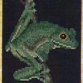 The Green Tree Frog - Patterns by Jill Oxton